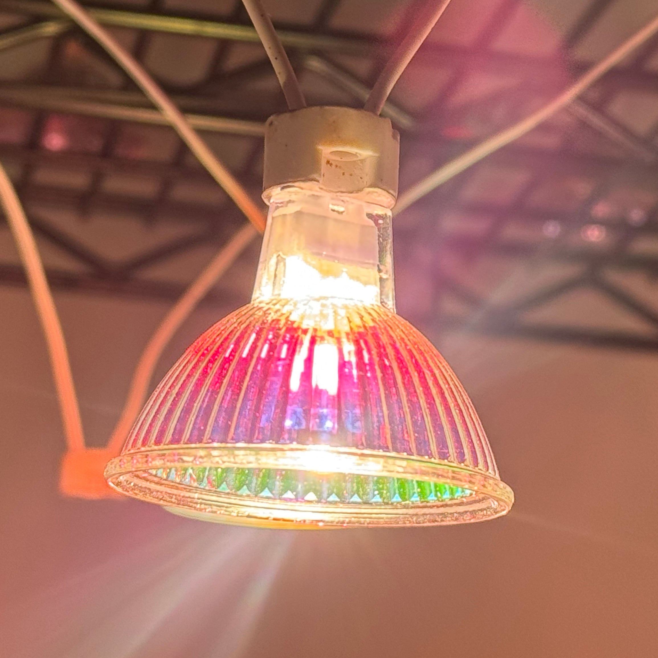 12V 24V 48V 50W Halogen MR16 Lamp 36° Beam Spread (EXN), glass cover